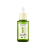 isoi Waandoo Firming Ampoule 30ml-Ampoule-Skincare Coréenne