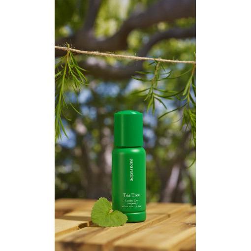 papa recipe Tea Tree Control Cica Ampoule 30ml-Ampoule-Skincare Coréenne