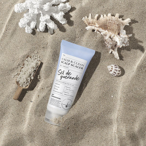 Dr.BANGGIWON Sea Salt Gommage Cuir Chevelu 200 ml