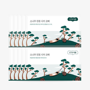 Round Lab Patch Nez Biocellulose Pine Tree Cica 2 étapes × 5